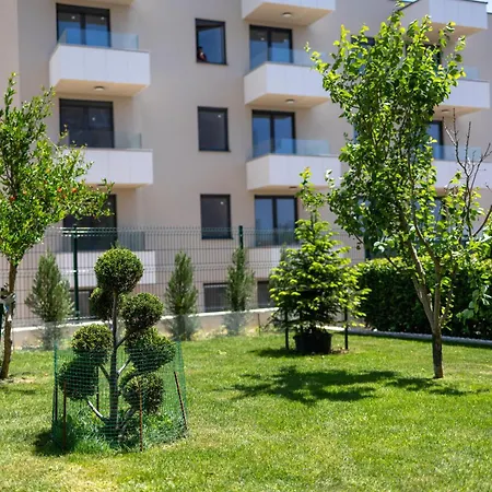 Sunny Garden